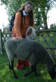 a picture of me with a sheep